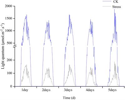 Wheat Escapes Low <mark class="highlighted">Light Stress</mark> by Altering Pollination Types